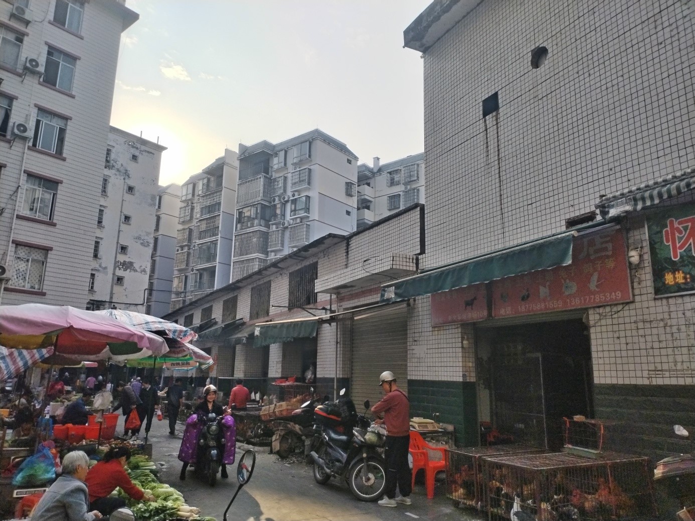 完美体育在线登录河池分公司招租公告